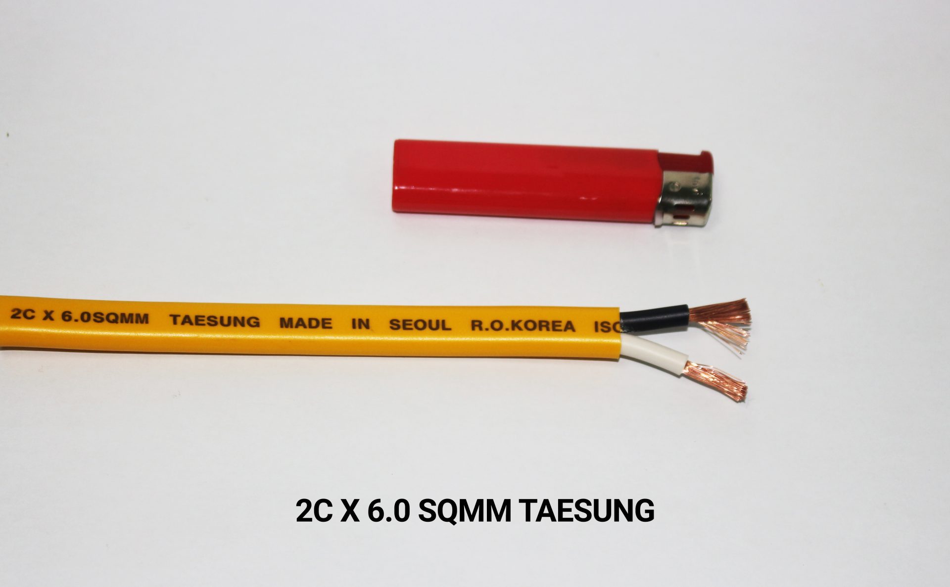 2C X 6.0 SQMM TAESUNG-02