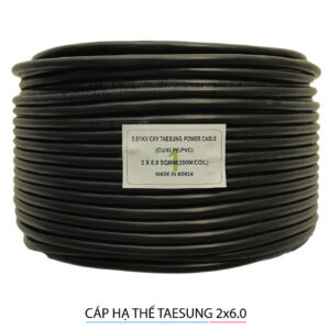 Cáp điện lực hạ thế Taesung 2x6.0