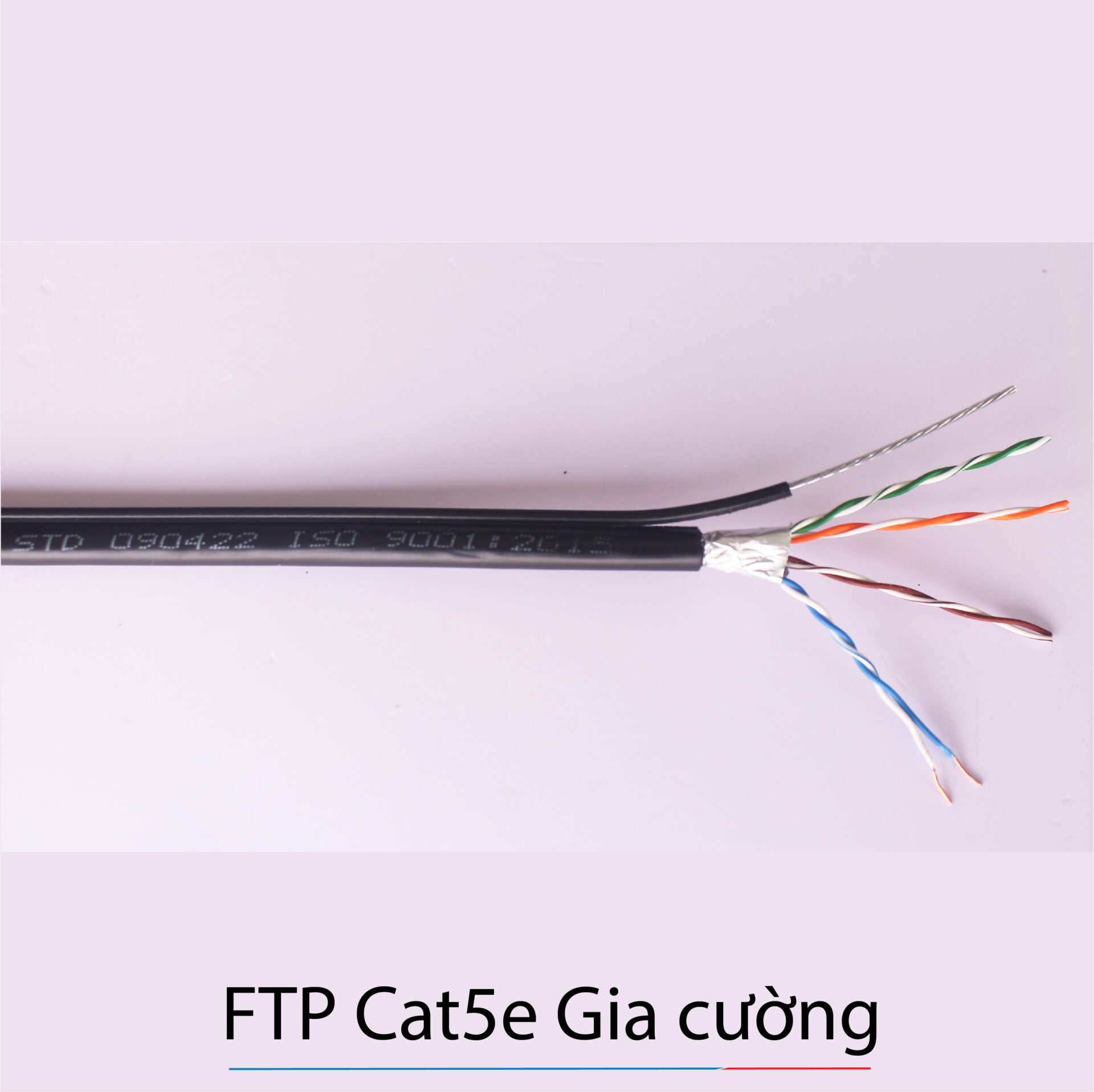 FTP CAT5E GIA CUONG-1
